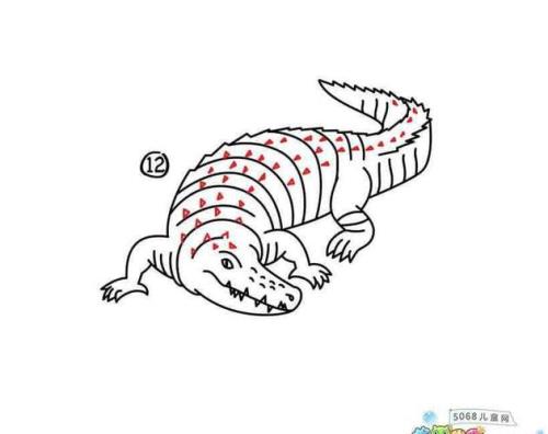 鳄鱼有多少画