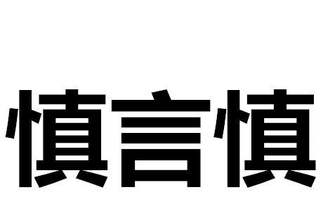 什么什么言行成语