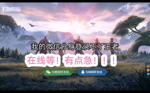 为什么游戏分身不能登录