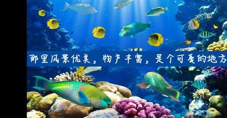 物产富饶是什么意思