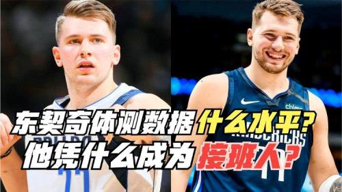 东契奇身体数据