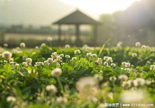 去公园游玩心情好与不好的句子