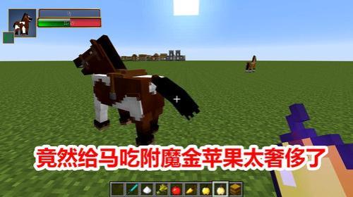我的世界马可以背箱子吗