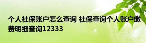 12333社保个人查询网