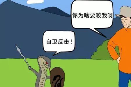 为什么被蛇追的时候最好要S形跑