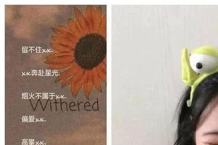 快手网名带对象名字的