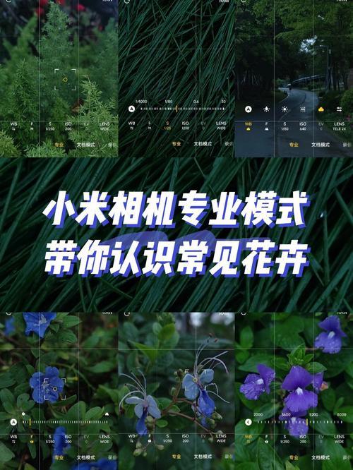 小米拍照专业模式万能参数