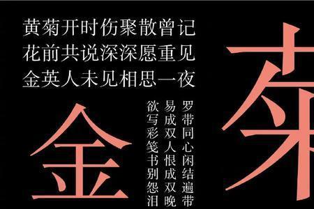 这种和宋体很像的字体叫什么