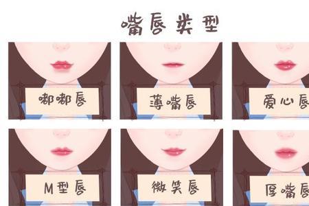 上唇为什么有两个唇珠