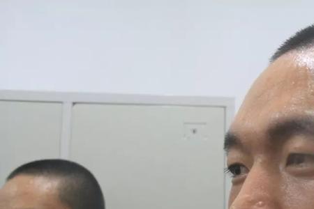 亮个相什么意思