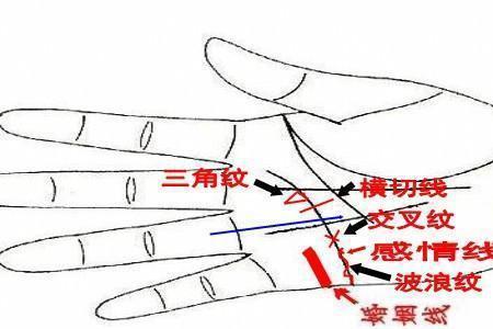 什么是根子纹
