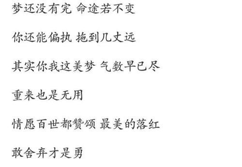 岁月高歌是什么歌的歌词
