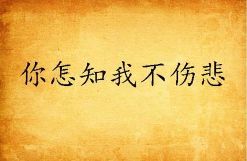 你永远不懂我伤悲下一句怎么回