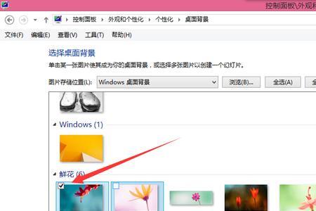 绽开换一个词可以换成什么