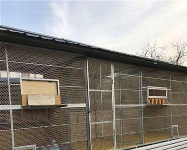 怎样搭建一个简易鸽舍