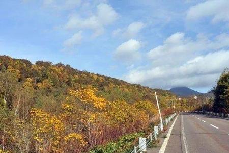 19号属于中旬还是下旬