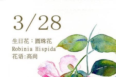 2月12日生日花是什么