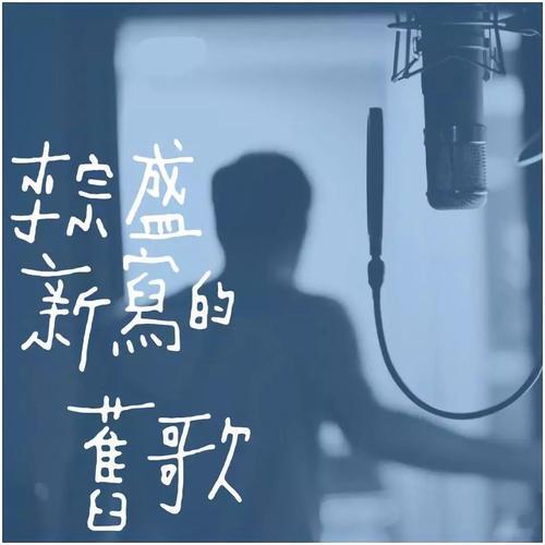 像极了这首歌词表达什么含义