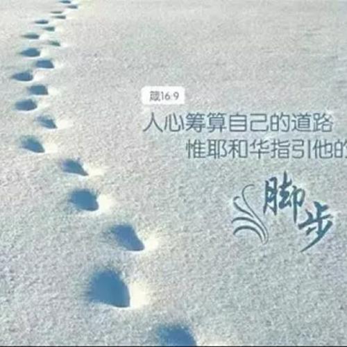 唱吧评论经典句子