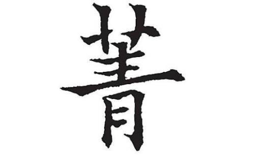 菁字怎么组词
