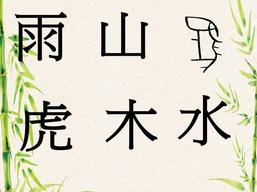 菠萝的象形字