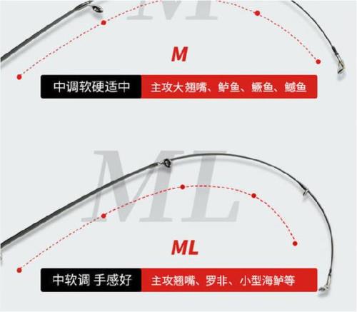 L调路亚竿可抛多大饵