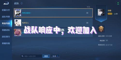 王者荣耀加不了战队