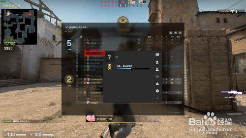 csgo图标为什么变成空白了