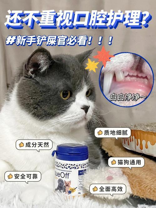 猫咪洁牙粉怎么用