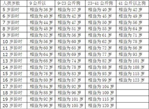 一般年份和公历年份的区别