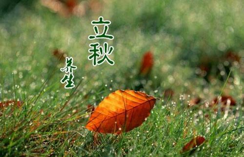 立秋象征什么生肖动物