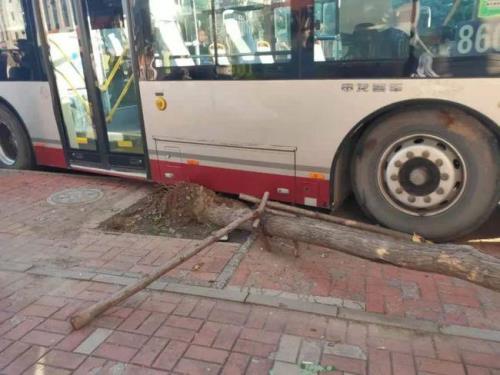 天津688公交多少分钟一辆