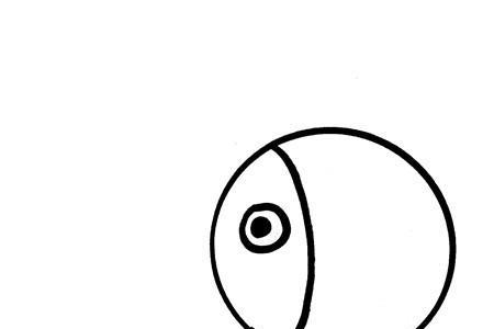 鱼的简笔画幼儿园