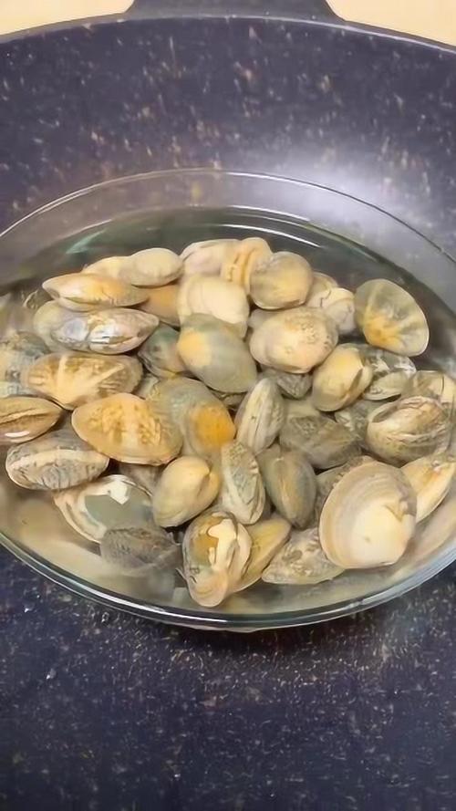 怎么花甲把里面的沙子洗干净