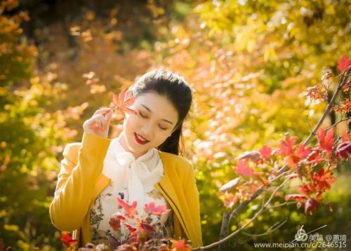 芳华似水是什么意思