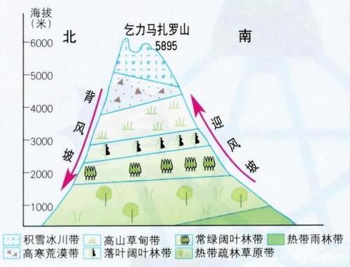 我国植被中占主体的是什么
