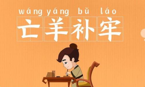 猪和羊有什么成语