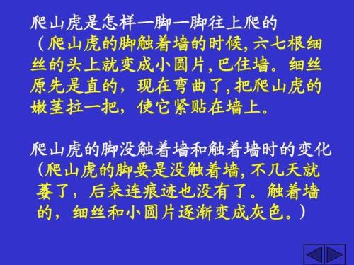 巴住墙的意思是什么