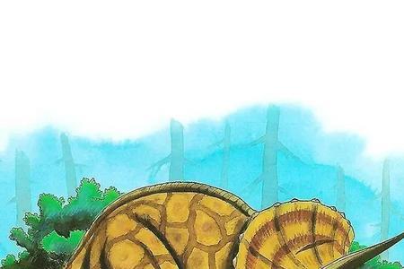 三角龙的角有多长