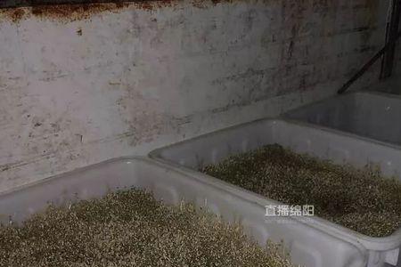 厕所长豆芽什么意思
