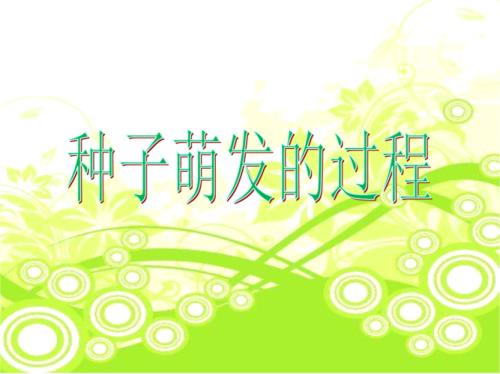 种子在发芽是哪一首歌的歌词