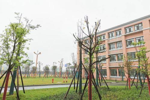 眉山齐通小学是公立还是私立