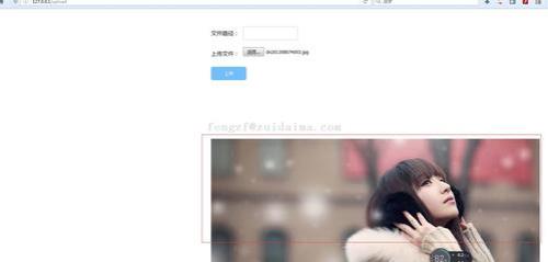 怎么用hale看demo