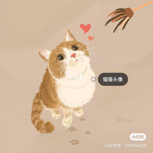怎么获得喵喵头像框