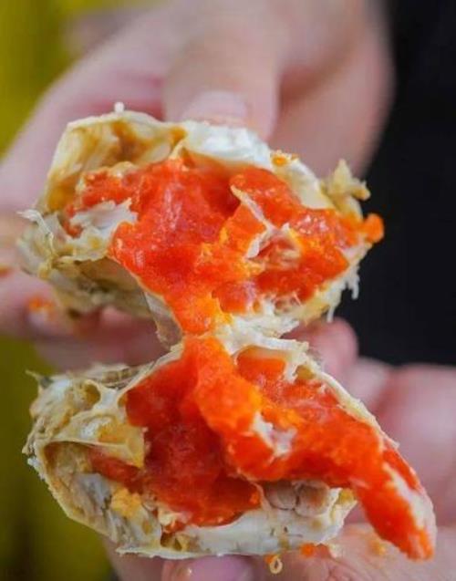 湛江哪里的螃蟹最漂亮