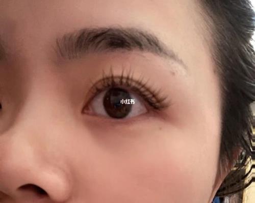 睫毛种长了可以剪吗