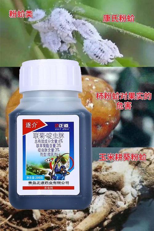 啶虫脒杀蚧壳虫效果怎么样