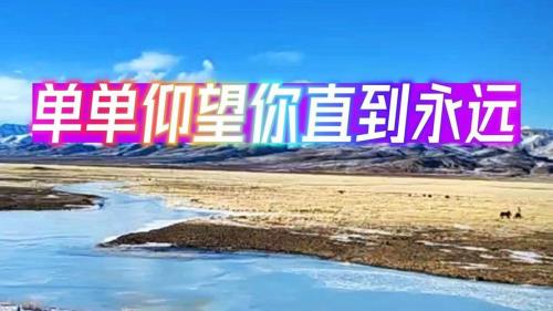单单依靠你歌词原唱