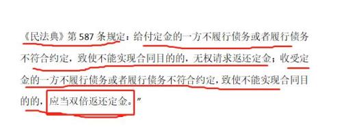 定金宝是什么