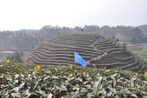 宜宾发展农业的地理条件